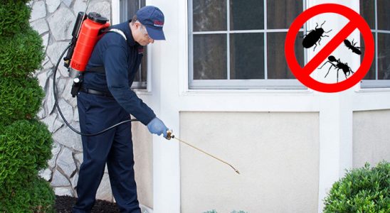 Dedebaşı Gümüşkurt İlaçlama böcek ilaçlama ve haşere kontrolü — ilaclama-tr.com
